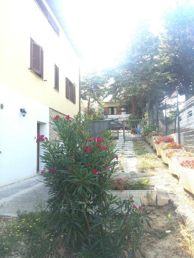 Villa Andrea B&B San Silvestro  Zewnętrze zdjęcie
